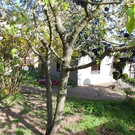 Holiday home Ferienhaus Santo